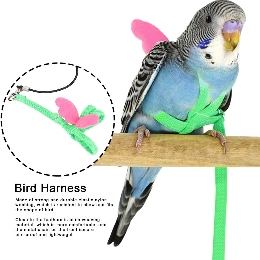 Outdoor Pet Bird Cute Harness Lsh Parrots Flying Training Rope Straps