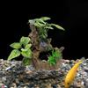 Simulation Aquarium Artificial Plants Decorative Sunken Wood Underwater Grass  Aquarium
