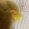 [USED] Steiff Petsy 012051 Teddy Bear Plush Toy, Used