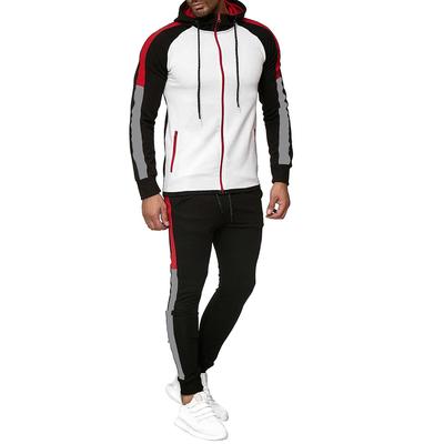 Mens Autumn Gradient Zipper Print Sweatshirt Top Pants Sets Sport Suit Tracksuit