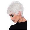 Women’s Short Silver White Wig with Side Bangs Fluffy Flipped Style Synthetic Hairpiece