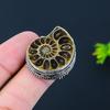 Ammonite Fossil Gemstone Handmade 925 Sterling Silver Jewelry Ring Size 6 H1e82