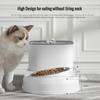 Automatic Cat Feeder and Drinker Combo Cat Water & Food Bowl Cat Water Fountain Recirculate Filtring Water Dispenser Pet Supplie