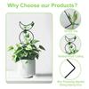 4 Different Shapes Climbing Plant Trellis Moisture-Proof Coating Metal Wire Garden Trellis Soil Insert Stakes