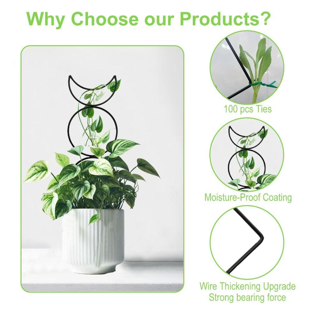 4 Different Shapes Climbing Plant Trellis Moisture-Proof Coating Metal Wire Garden Trellis Soil Insert Stakes