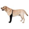 Dog Socks To Prevent Licking Paws with Anti-Slip Bottom Healings Boot & Paws Protectors Dog Sleeve Shoes for Lickings