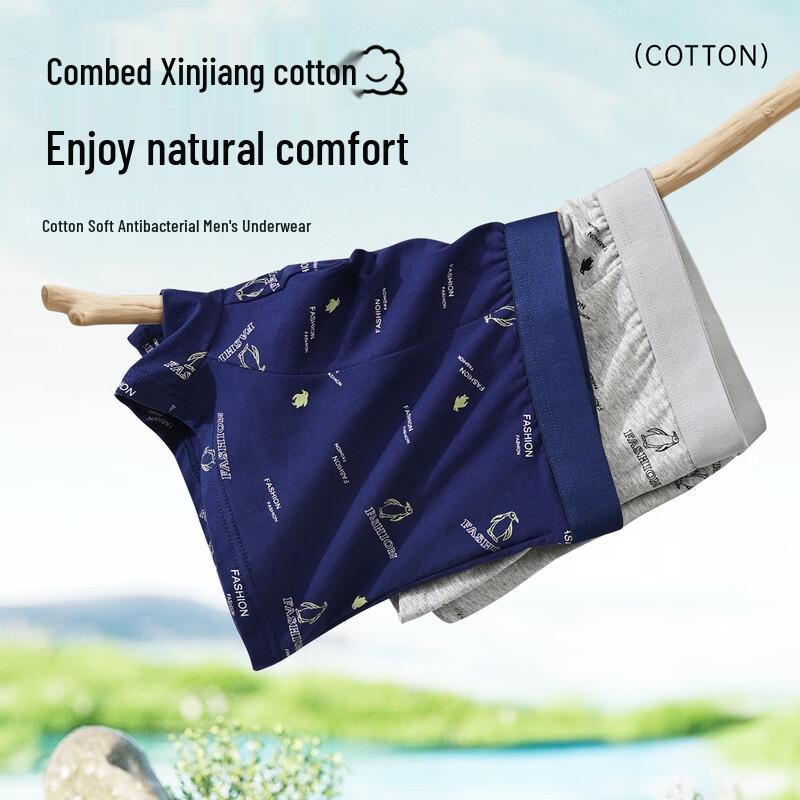 Woodpecker Men's Cotton Antibacterial Boxer Briefs