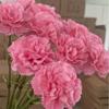 Simulated Flowers With High-Quality Texture And Moisturizing Effect Carnations For Weddings Fake Flowers For Weddings Home Decor