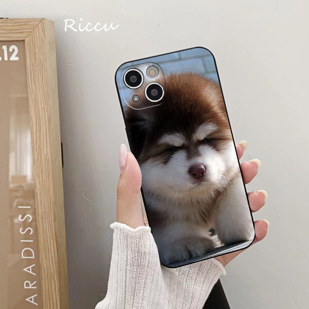 FOR IPhone Cute Alaskan Dog Phone Case FOR IPhone 14 11 12 Pro 8 7 Plus SE X Pro 14 MAX 12 13 MINI XR XS Iphone 14 Phone Covers