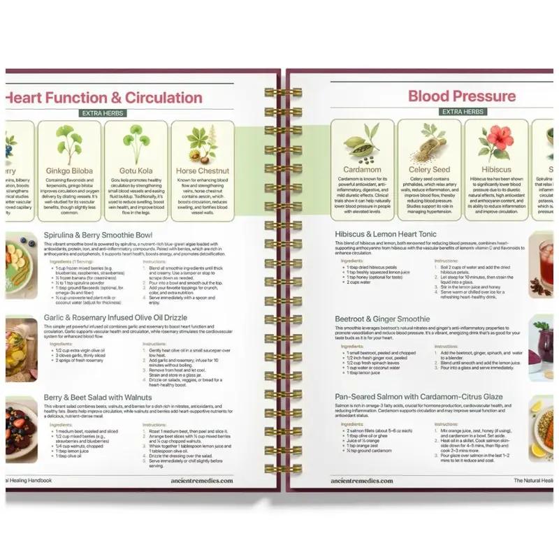 The Natural Healing Handbook - Simple Recipes & Remedies for Every Condition