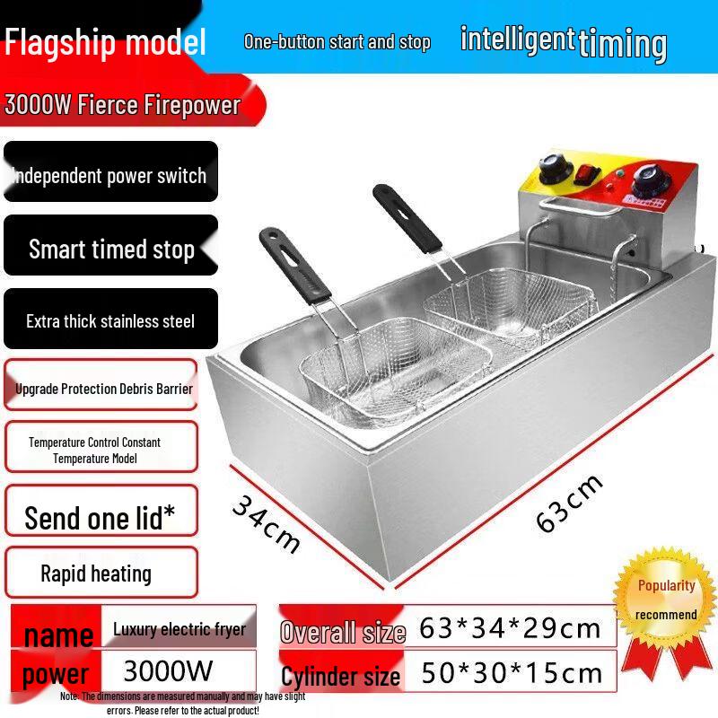 Jiakangming Commercial Electric Deep Fryer & Noodle Cooker