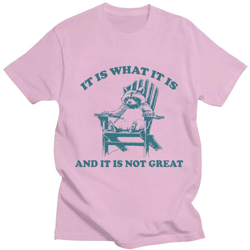 It Is What It Is and It Is Not Great Raccoon Meme T-Shirt Funny Opossum Popular Tshirt Unisex Fashion Cotton Casual Short Sleeve