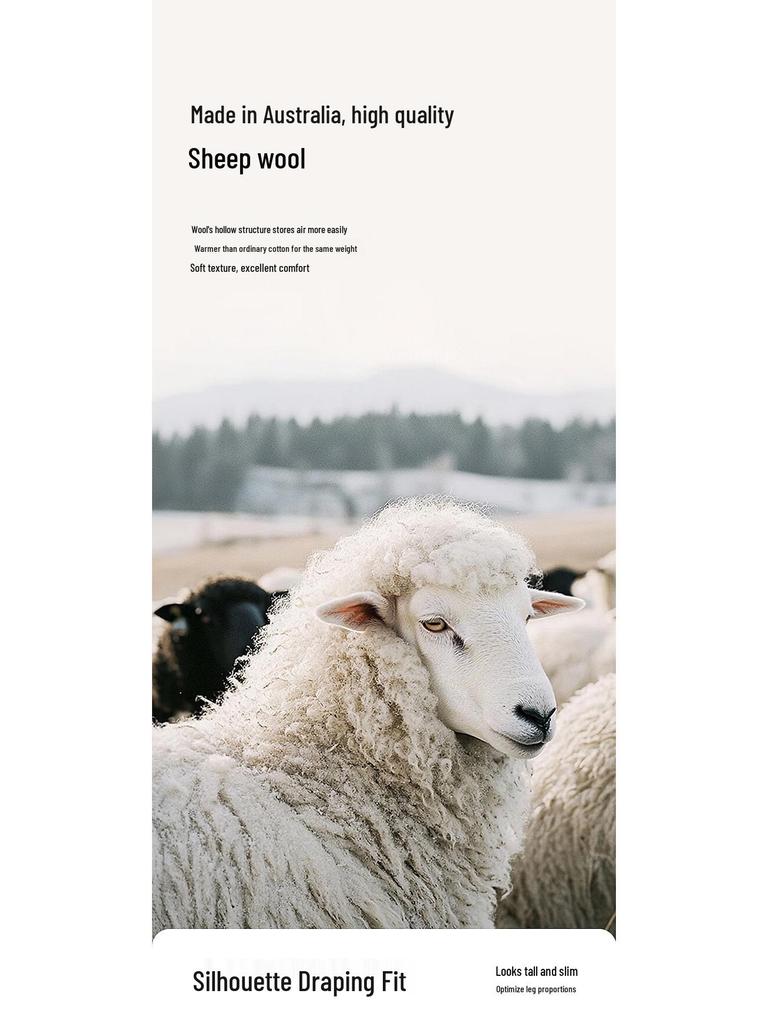 LESS 2025 Spring Collection Loose Wide-Leg Wool Trousers