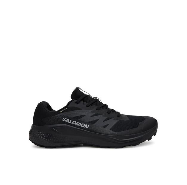

Кроссовки для бега Salomon Alphaglide Gore-Tex EU 45_1_3