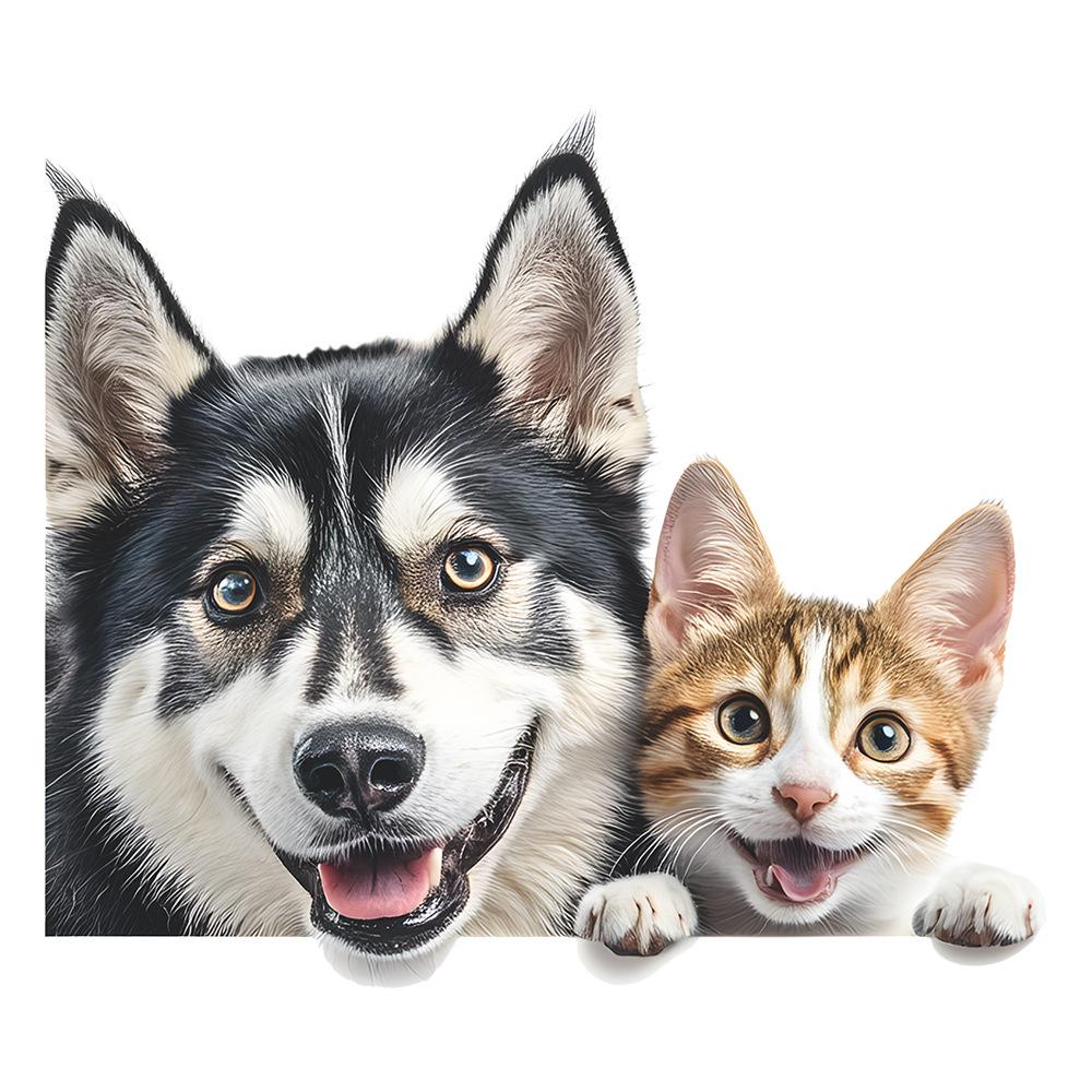 Samolepka s umělým zvířetem husky kotě vykukující sklo