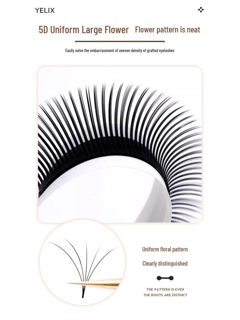 5D Glam Manga Style D-Curl Wimpernverlängerungen - Camellia Fairy Blooming Salon Special