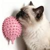 Gatti – Prodotti per toelettatura gatti