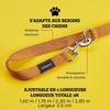 Laisse Pour Chien - VITAZOO - Modèle Accouple - Nylon Durable - Longueur Réglable - Poignée Ergonomique