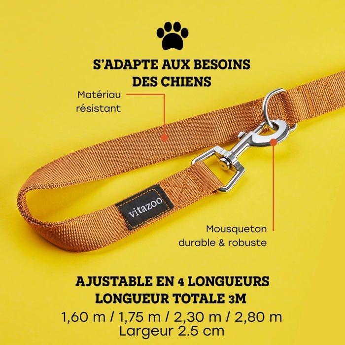 Laisse Pour Chien - VITAZOO - Modèle Accouple - Nylon Durable - Longueur Réglable - Poignée Ergonomique
