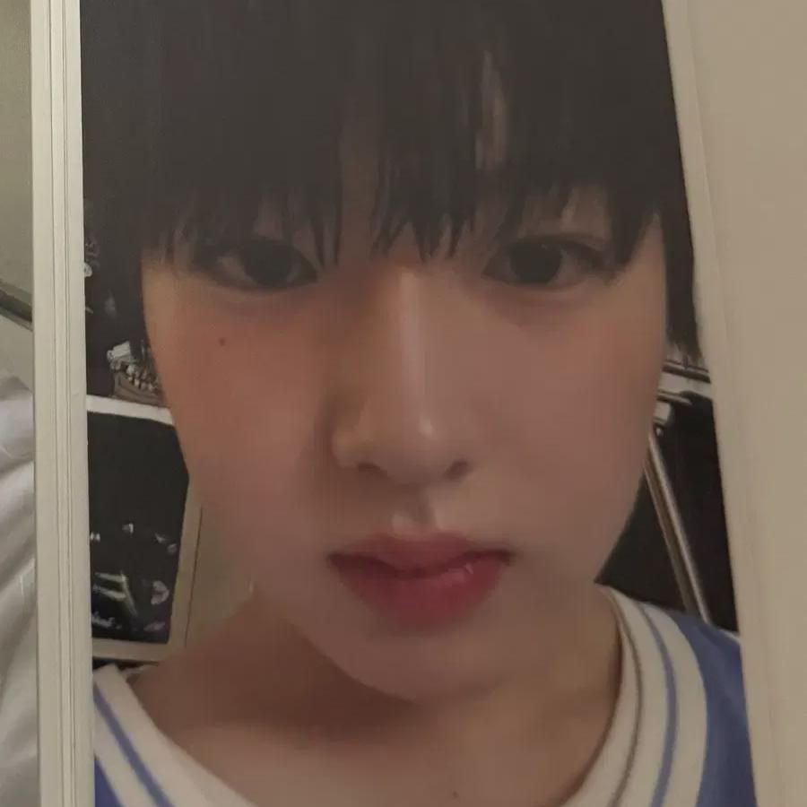 

Ncitywish Pop Pop Сакуя Фотокарточка