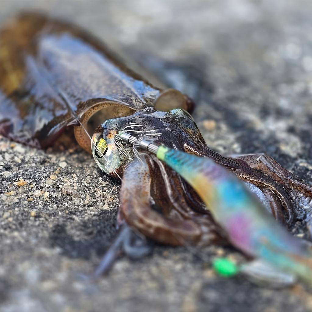 Tintenfischköder Leuchtender Tintenfisch-Jig Kunstköder Sinkend Schwimmfuß-Oktopus Sepia Meeresangelköder Garnelenköder