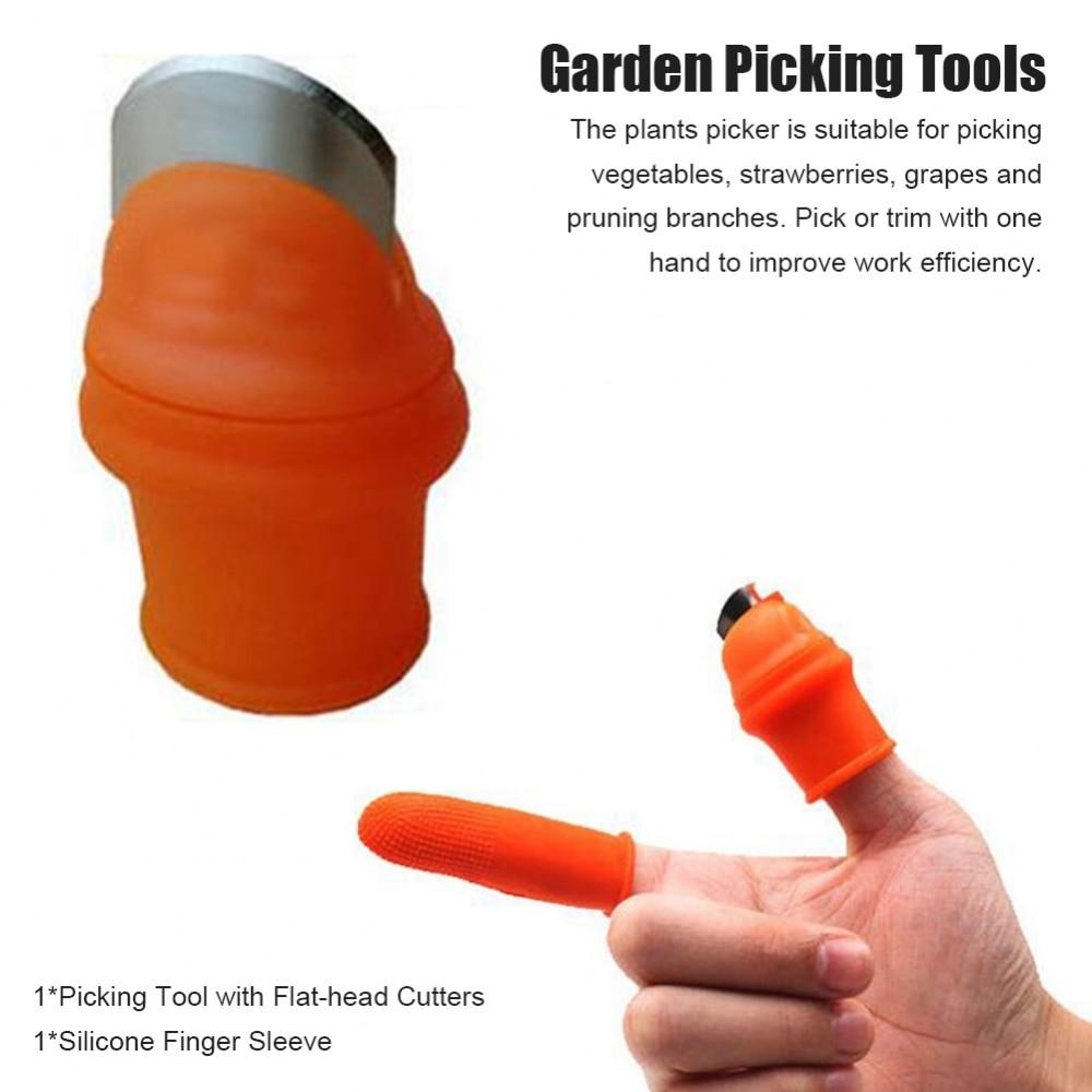 Farm Vegetable Fruit Picker Pickle Pepper Pickle Tip Picker Iron Nail Pick Garden Orchard Grape Picker