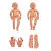 Infant Massage Training Model with Acupuncture Life Size Realistic Baby Anatomy Model For Nursing Skill Development