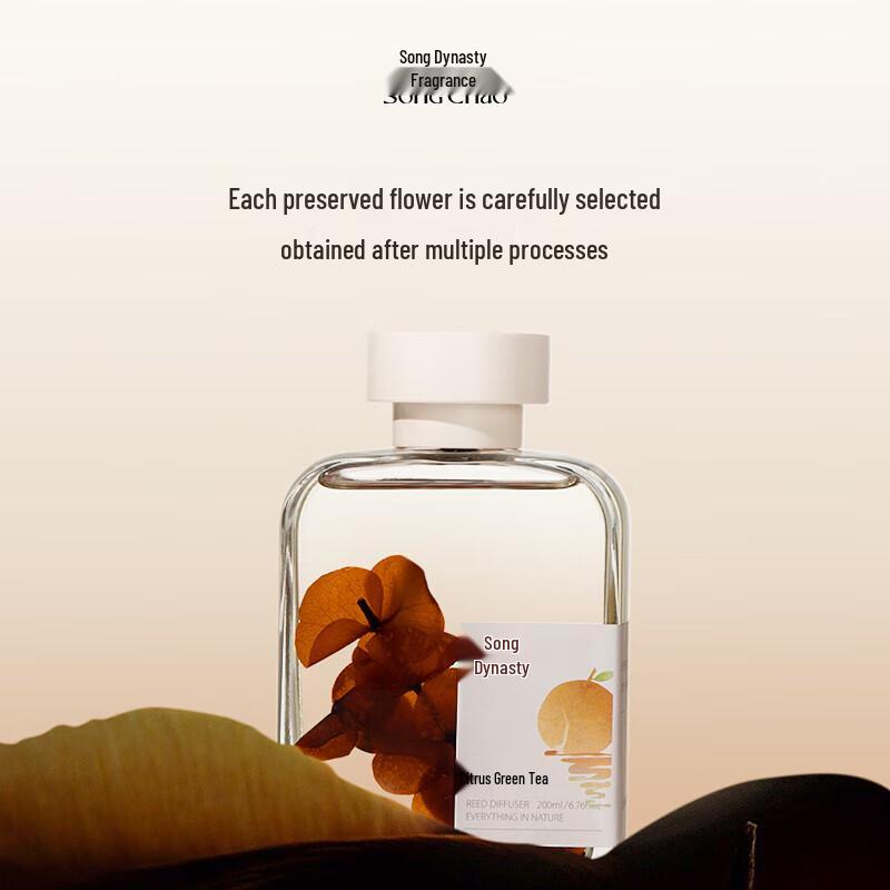 Song Dynasty Natural Flameless Diffuser