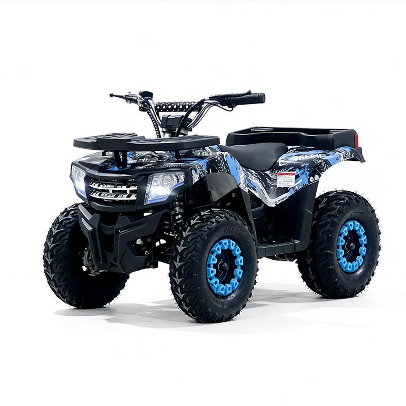 Kids' 36V 800W Electric ATV: All-Terrain Four-Wheeler with Lead-Acid Battery