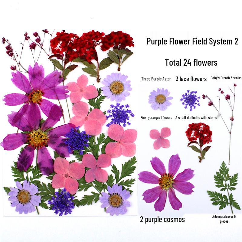 Handmade Kindergarten Collage: Real Dried Leaf and Flower Stickers for Face and Photo Decoration