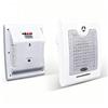 Williston 15W Indoor Wall-Mounted Speaker VB-615 (CN Version)