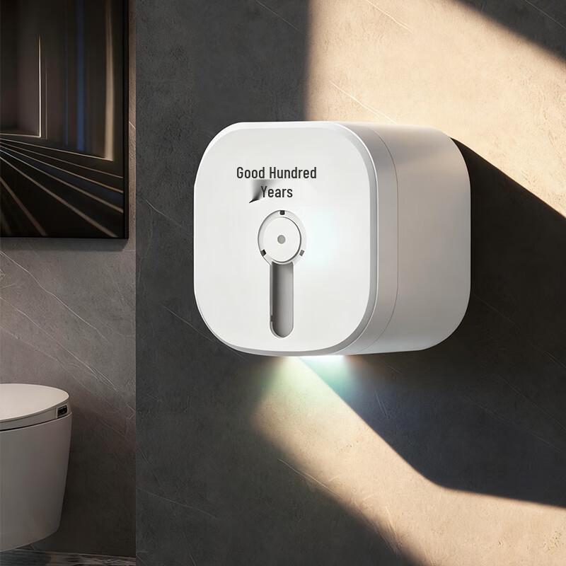 Haobainian Wall-Mounted Central Pull Toilet Paper Dispenser