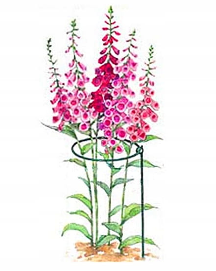 Round Plant Support 76cm Solid Support for Flowers
