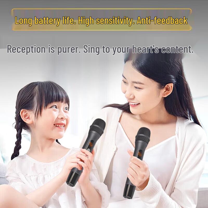 Newmine AK-600pro Wireless Bluetooth Home Theater Karaoke System