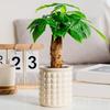 Self-Absorbing Flowerpot with Transparent Water Level Indicator Self Watering Planter with Bubble Texture Double-Layer Design for Indoor Plants