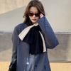 Korean Style Fashionable Casual Color-Blocked Thick Warm Long Scarf For Women