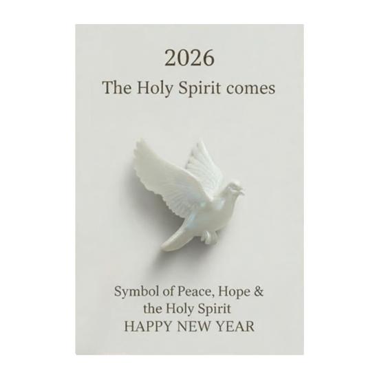 

Pocket Hug Gift 3D Printed/2D Acrylic Peace Bird with Card Pigeon Pocket Hug Token Emotional Support Keepsake Gift for Friends Family Three-dimensional