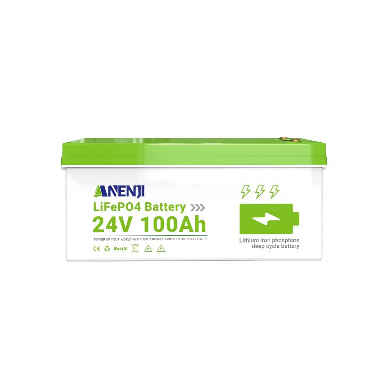 ANENJI 100Ah 12V 2.56KWH  LiFePO4