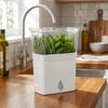 Large Capacity Vegetable Keeper Plastic Herb Lettuce Keeper  Prolongs Produce Life