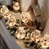 LED Christmas Snowman Curtain Lights - Festive Wishing Ball Pendant for Shopping Mall Displays and Window Decor.
