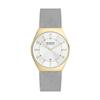 Skagen GRENEN SKW6816 Women's Silver Watch