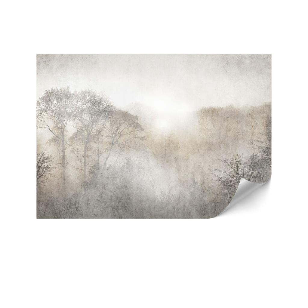 Standard non-woven wallpaper - 100 x 70 cm - nature Standard non-woven wallpaper - 250 x 175 cm - nature