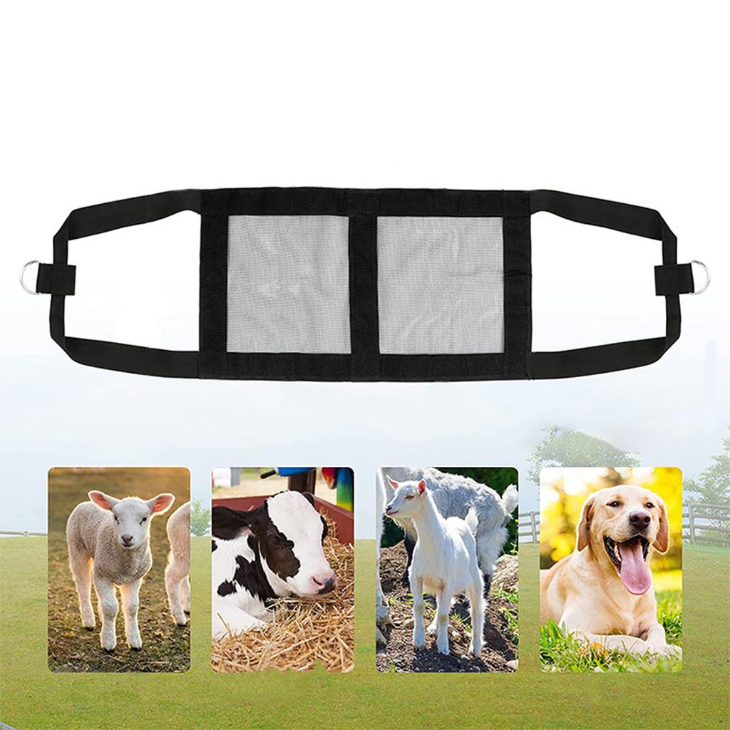 Calf Sling for Weighing Calf Sling for Weighing Small Animals Goat Sling for Hoof Trimming Breathable Livestock Lamb