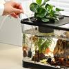 Transparent Plastic Desktop Goldfish Tank for Home Decor - Small & Medium Sizes Available