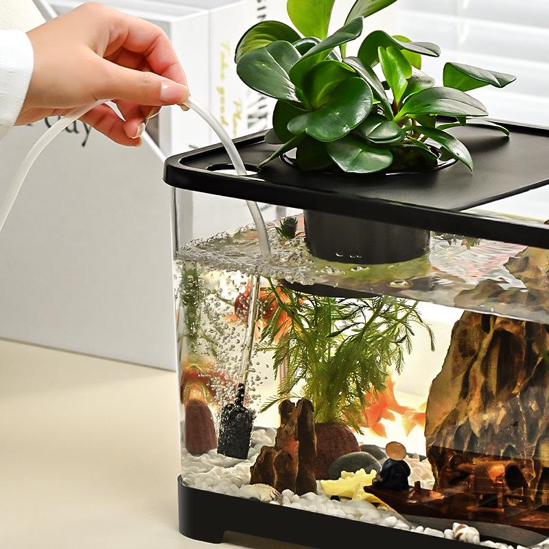 Transparent Plastic Desktop Goldfish Tank for Home Decor - Small & Medium Sizes Available