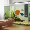 Colorful Betta Training Wand Fish Shaped Fish Training Stick  Fish Tanks Accessories