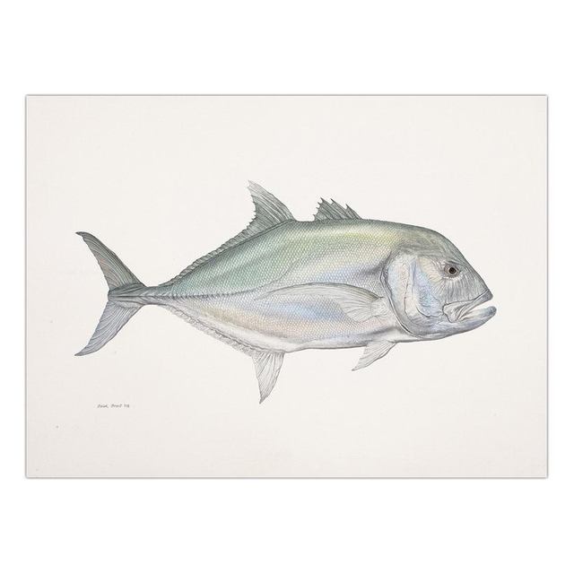 Decorative Painting Retro Fish Restaurant Hotel Paintings Animal Print Wall Pictures for Living Room Flatfish Wall Art Canvas