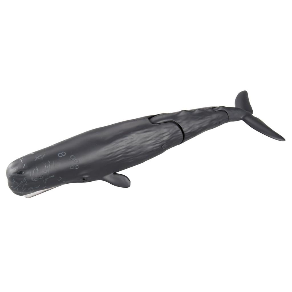 Takara Tomy Ania Pottwal Tier Dinosaurier Spielzeug für Alter 3+ AL-34 (Schwebende Version)