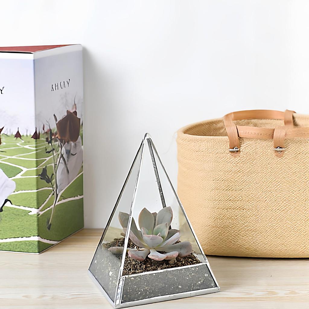 Eco-Friendly Indoor Glass Greenhouse for Succulents and Bonsai Plants
