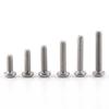M3 304 Stainless Steel Hex Socket Screws   With Hex Nuts Washer Assortment(  Head)